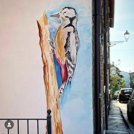 Apartman Il Nido Del Picchio *