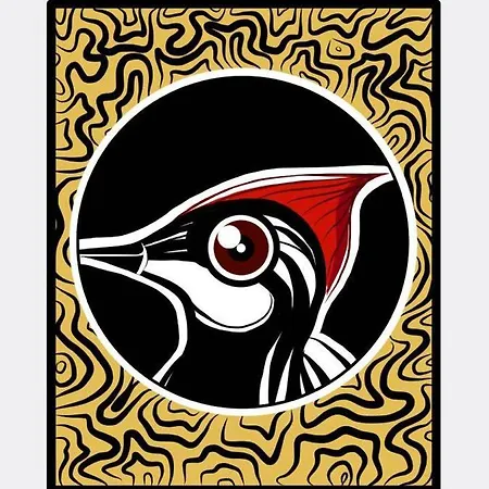 Il Nido Del Picchio Appartamento Ascoli Piceno