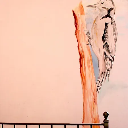 Il Nido Del Picchio