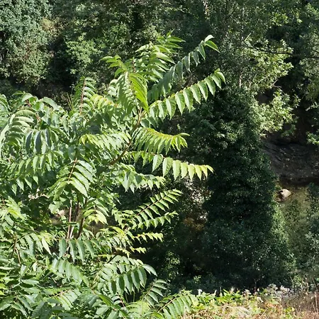 Il Nido Del Picchio Appartamento